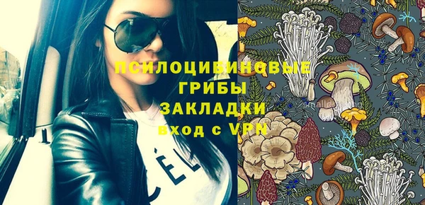 ПСИЛОЦИБИНОВЫЕ ГРИБЫ Армянск