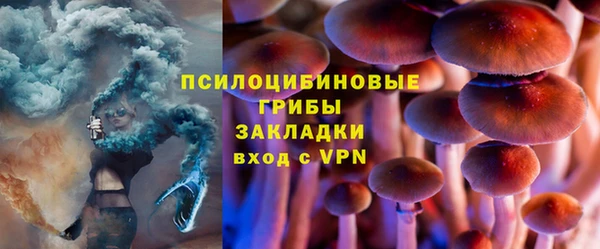 крисы Ельня