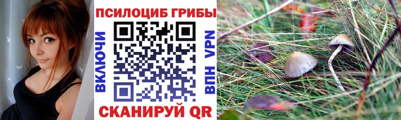 Псилоцибиновые грибы ЛСД  Коломна 